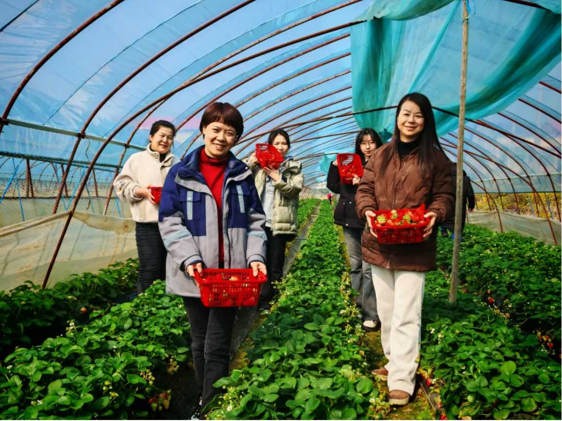 ladbrokes立博-公司官网